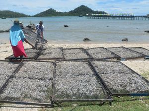 Pak Jokowi, Petani Juga Minta Dapat Subsidi dari Pemerintah