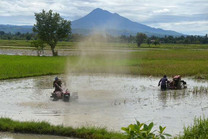 PENYALURAN BLT UNTUK PETANI MISKIN Petani membajak sawah menggunakan traktor tangan di Desa Samahani, Kecamatan Kuta Malaka, Kabupaten Aceh Besar, Aceh, Sabtu (2/5/2020). Pemerintah memutuskan akan menyalurkan bantuan langsung tunai (BLT) kepada sebanyak 2,44 juta petani tergolong miskin sebesar Rp600 ribu dan berupa sarana pertanian agar mereka bisa bertahan hidup di tengah wabah COVID-19. ANTARA FOTO/Ampelsa/wsj.