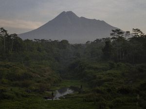 BPPTKG Perkirakan Perilaku Erupsi Gunung Merapi Akan Seperti Tahun 2006