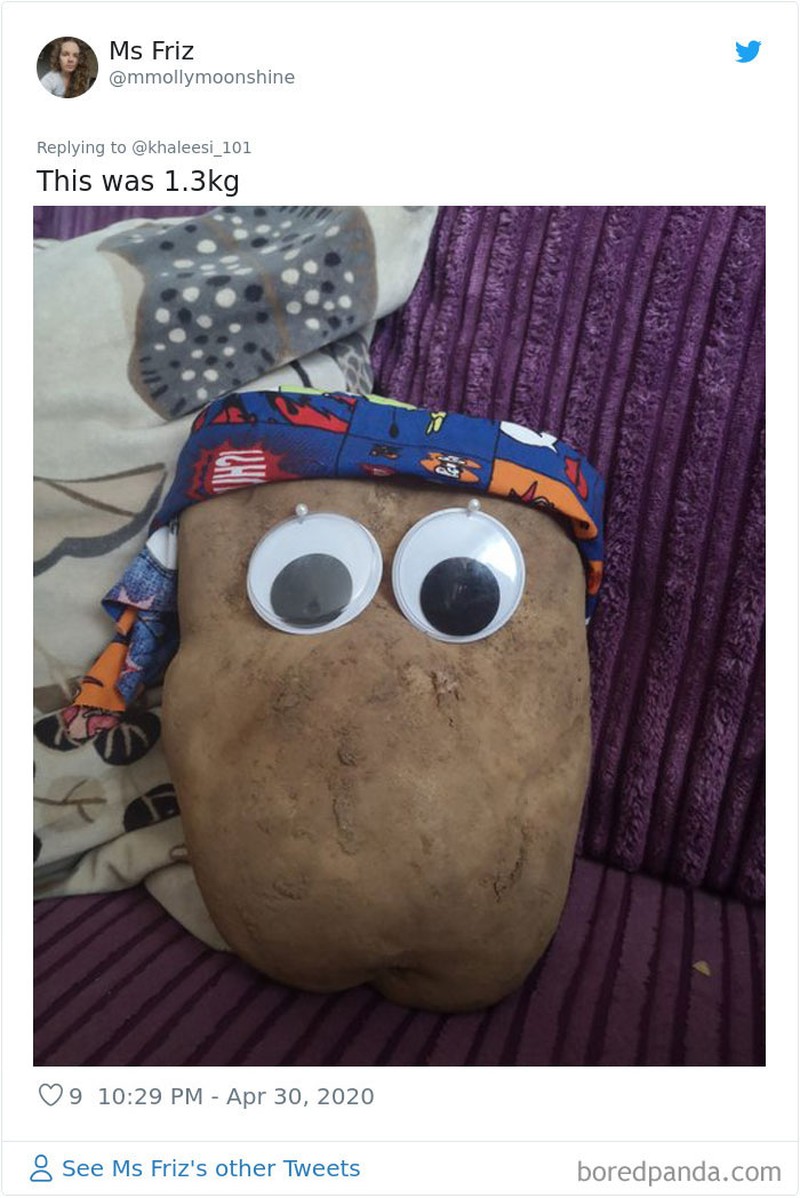 Disaat kondisi seperti sekarang ini, banyak orang memanfaatkan untuk berbelanja online. Termasuk membeli sayuran. Tapi, uniknya mereka justru dapat ukuran yang tak biasa.