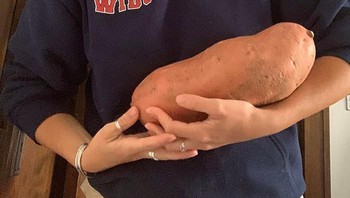 Bahkan, ada yang mendapatkan kentang sebesar bayi yang baru lahir.