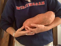 Akibat Belanja Online, Orang-orang ini Dapat Ukuran Tak Biasa