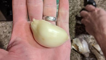  Satu siung bawang putih ini setara dengan satu bawang putih utuh.