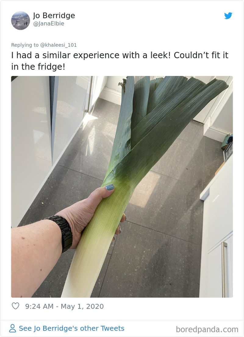 Disaat kondisi seperti sekarang ini, banyak orang memanfaatkan untuk berbelanja online. Termasuk membeli sayuran. Tapi, uniknya mereka justru dapat ukuran yang tak biasa.