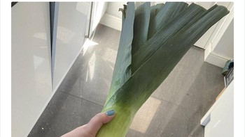 Daun bawang ini bahkan tidak bisa masuk ke dalam kulkas.