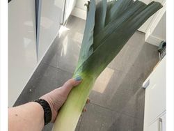 Akibat Belanja Online, Orang-orang ini Dapat Ukuran Tak Biasa