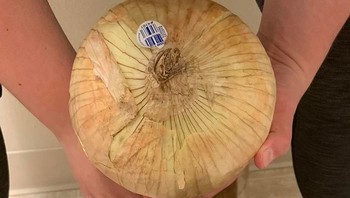 Orang ini bahkan dapat bawang bombay yang lebih besar dari kepala anjing peliharannya.