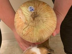 Akibat Belanja Online, Orang-orang ini Dapat Ukuran Tak Biasa