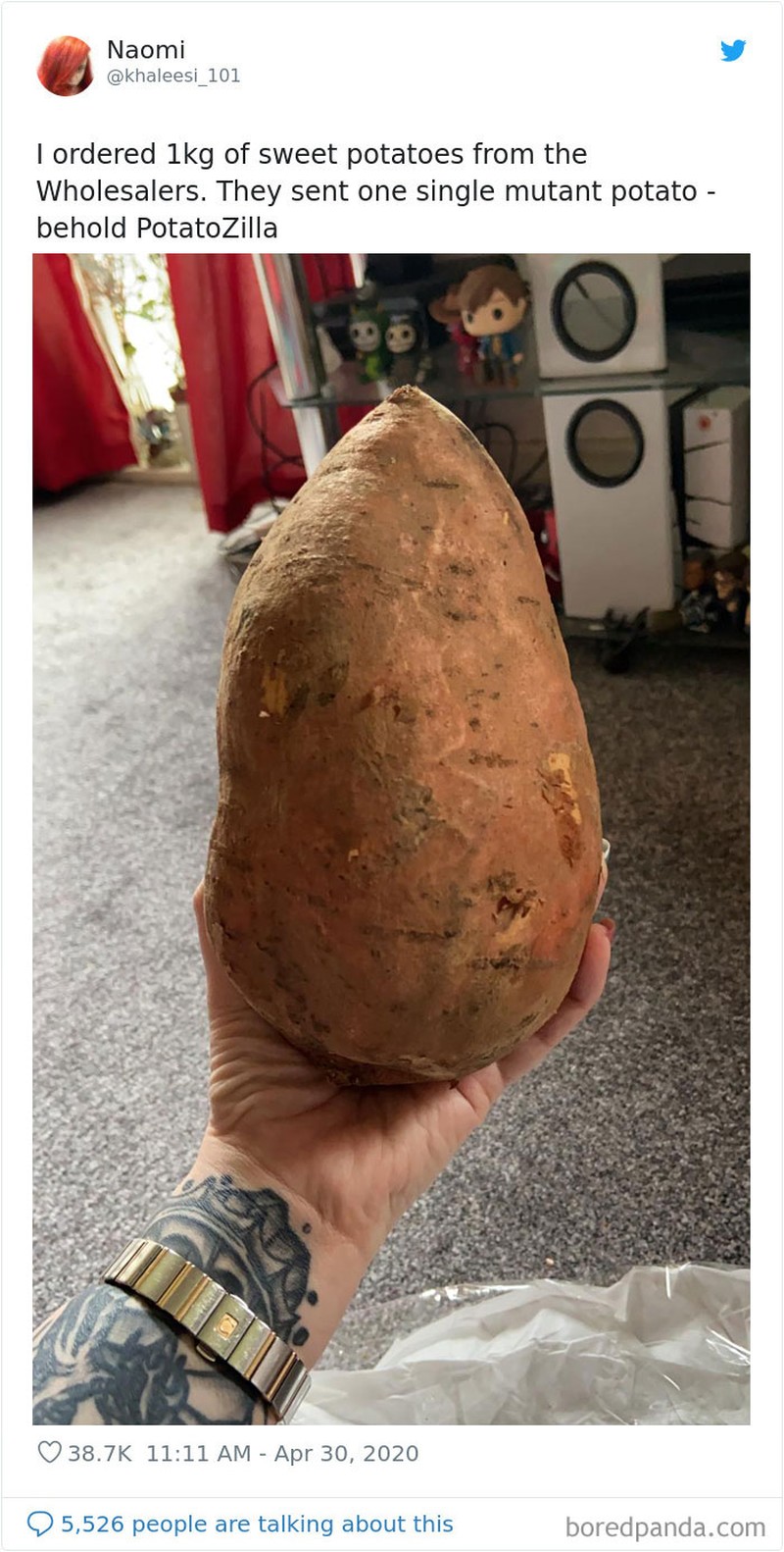 Disaat kondisi seperti sekarang ini, banyak orang memanfaatkan untuk berbelanja online. Termasuk membeli sayuran. Tapi, uniknya mereka justru dapat ukuran yang tak biasa.