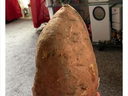 Akibat Belanja Online, Orang-orang ini Dapat Ukuran Tak Biasa