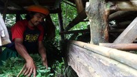 Kambing-kambing ini sendiri bukan miliknya, akan tetapi titipan milik kenalannya. Ujun sehari-harinya mencari rumput untuk pakan kambing, aktivitas itu menjadi sumber rejekinya setiap hari.