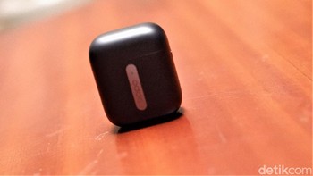 Bobotnya kisaran 48 gram. Foto: Adi Fida Rahman/detikINET