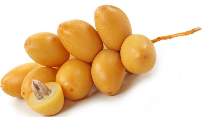 kurma muda