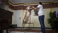 Mereka juga menorehkan pesan dna mengajak warga untuk tetap di rumah selama pandemi COVID-19.