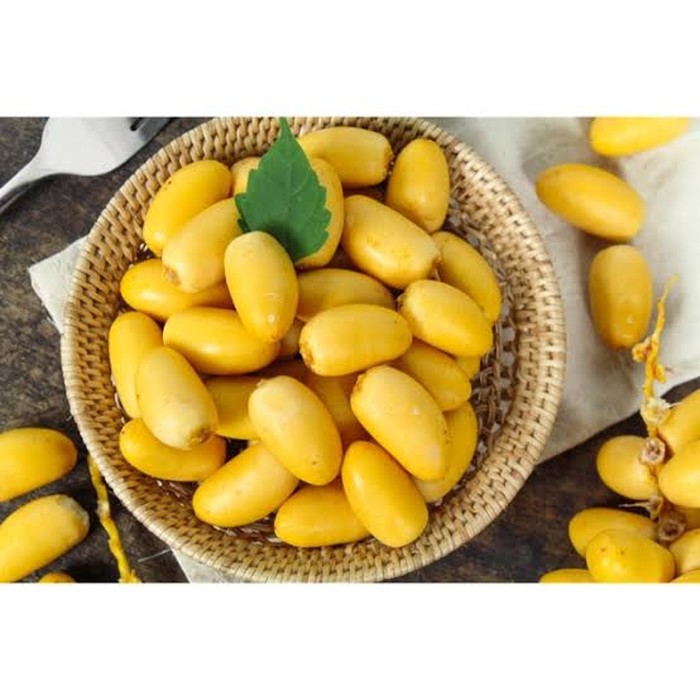 kurma muda