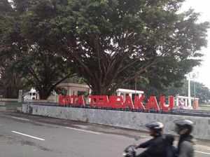 Jadi Terbaik Nasional, Ini Inovasi yang Dilakukan Kabupaten Temanggung