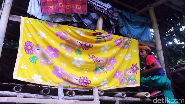 Ujun Juhaeni (50) warga Parungkuda, Sukabumi, Jabar, sudah 3 tahun tinggal satu atap dengan kambing titipan milik kenalannya. Begini kondisinya.