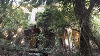 Kabar yang beredar pengelola dari rumah sakit tersebut juga seorang dokter yang gila dan jahat. (Google Earth)