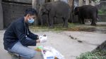 Perawatan Gajah di Tengah Minimnya Pemasukan Taman Satwa Taru Jurug