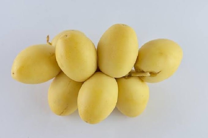 kurma muda