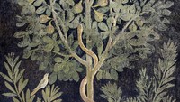 Dalam catatan arkeolog Profesor Thomas McGinn, prostitusi di Pompeii benar-benar terstruktur rapi. Pompeii memiliki setidaknya 41 rumah bordil komersial yang tersebar di seantero kota. Masing-masing memiliki fasilitas andalan dengan variasi layanan seks, mulai teater bugil, mandi kucing, hingga layanan dansa. Amfiteater Pompeii yang megah tak jarang pula menawarkan atraksi tari telanjang. Marco Cantile/LightRocket via Getty Images.