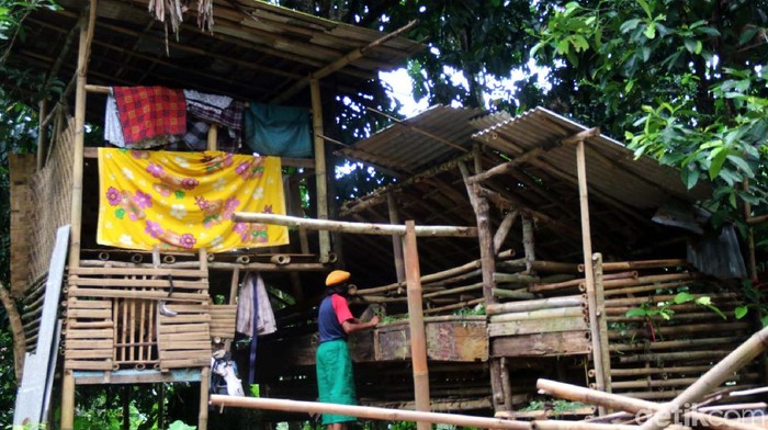 Ujun Juhaeni (50) warga Parungkuda, Sukabumi, Jabar, sudah 3 tahun tinggal satu atap dengan kambing titipan milik kenalannya. Begini kondisinya.