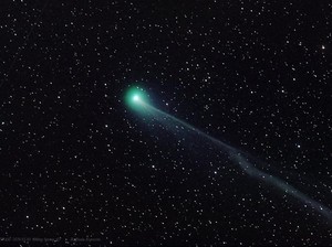 Komet Lemmon Lewat di Langit Indonesia, Bisa Dilihat Malam Ini!