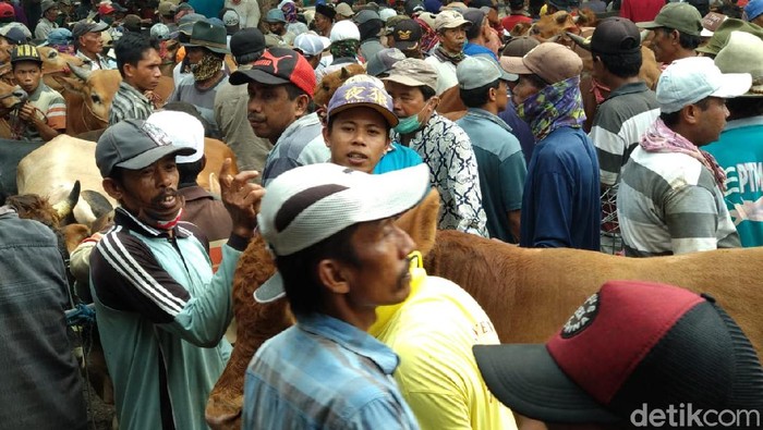 pasar hewan di probolinggo ditutup