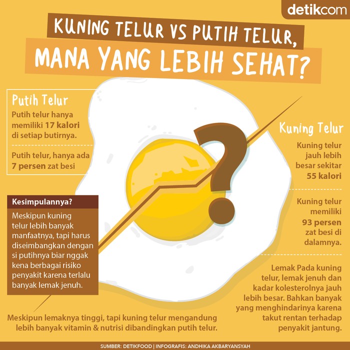 kuning telur vs putih telur