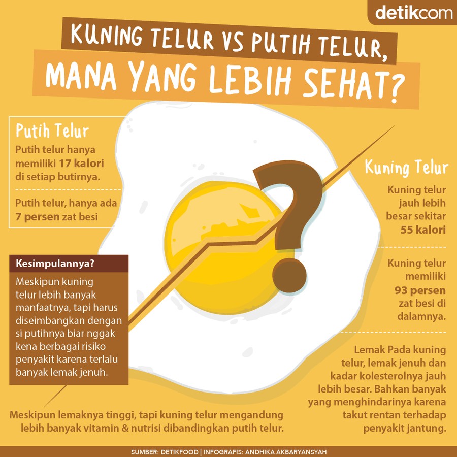kuning telur vs putih telur kuning telur vs putih telur