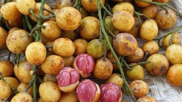 Buah lokal Indonesia yang kian langka