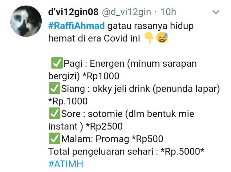 Jadi Trending di Twitter, Cuitan Soal #RaffiAhmad Bikin Netizen Ngakak