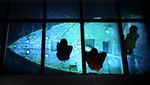 Melihat Diorama Sejarah Kapal Titanic di Irlandia