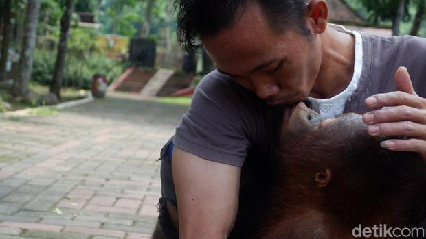 Kondisi kebun binatang Serulingmas di Banjarnegara saat pandemi Corona, Selasa (5/5/2020).