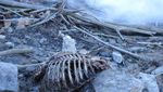 Potret Kota Centralia yang Punya Julukan Neraka Dunia