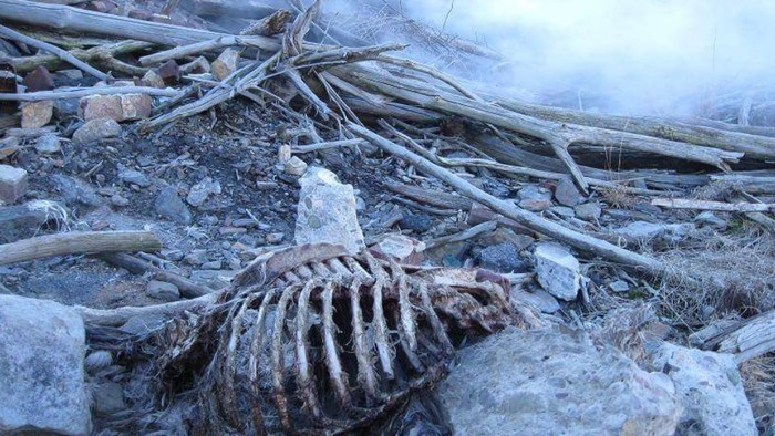 Kota Centralia di Pennsylvania