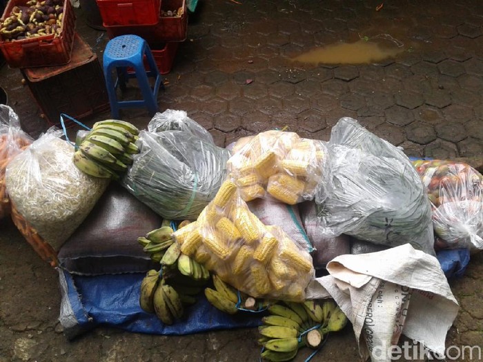 Bantuan pakan buat kebun binatang bandung