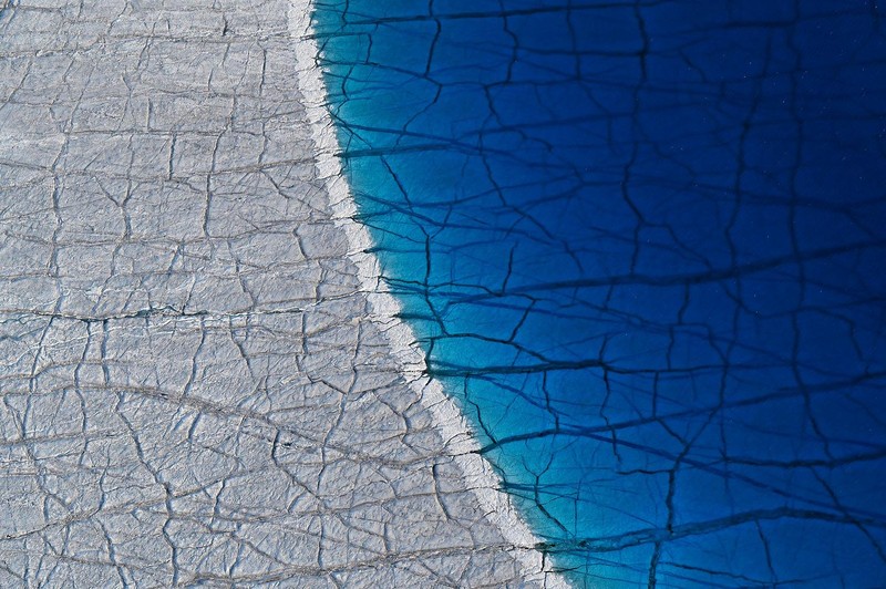 Jawara kontes foto alam