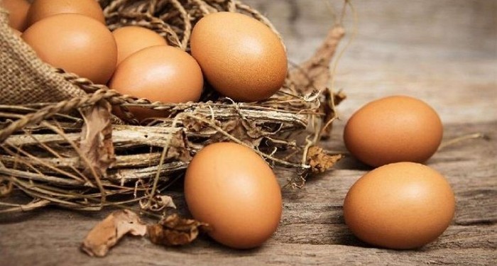telur infertil