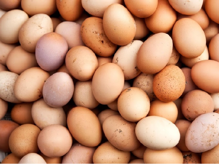 Apa Itu Telur  Infertil Ini Penjelasan dan Bahayanya Bagi 