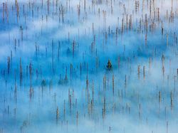 Jawara Kontes Foto Alam yang Bikin Takjub