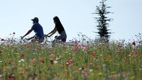 Seperti diketahui, Kota di Italia utara tersebut dan wilayah Lombardy di sekitarnya adalah di antara yang paling tercemar di Eropa, dan juga sangat terpukul oleh wabah COVID-19.