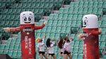 Ditonton Suporter Bohongan, Baseball Korsel Kembali Berlaga