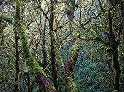 Jawara Kontes Foto Alam yang Bikin Takjub