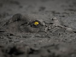 Jawara Kontes Foto Alam yang Bikin Takjub