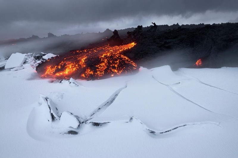 Jawara kontes foto alam