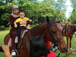 Tak Perlu ke Bandung, Cibinong Juga Punya Wisata Kuda