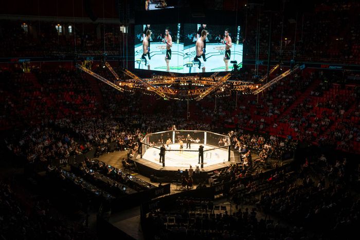 Mengenal 10 Gerakan Terlarang di UFC (Getty Images) Mengenal 10 Gerakan Terlarang di UFC (Getty Images)