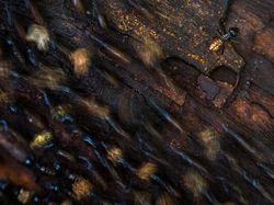 Jawara Kontes Foto Alam yang Bikin Takjub