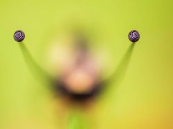 Jawara Kontes Foto Alam yang Bikin Takjub